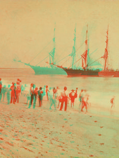 [People on the shore looking at a ship.] 1867?-1890?