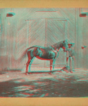 Residence of Morris Ketchum, Westport, man showing the horse "Sir Tom" in front of a barn. [1865?-1870?]