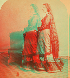 [Lady with long hair.] 1870?-1895?