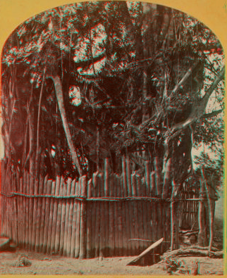 Ruins old Spanish fort and Martyr Tree. 1870?-1871? 1870