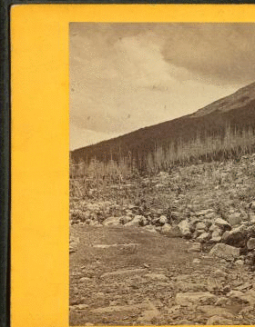 Silver Forest, Mt. Washington. 1859?-1865?