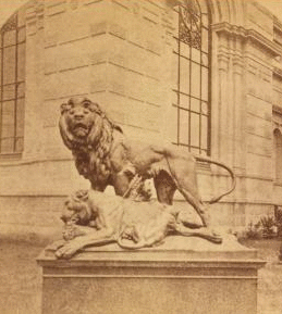 [Sculpture "The dying lioness.".] 1876