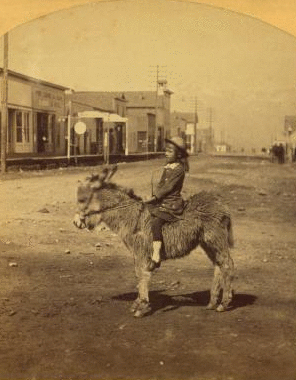 [A child on a burro.] 1870?-1900?