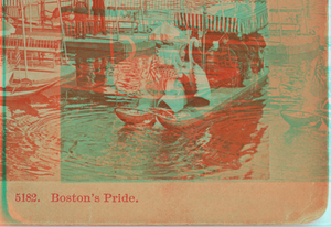 Boston's pride