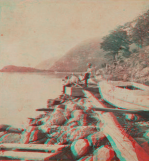 A View from Cold Spring, looking North. [1860?-1875?]