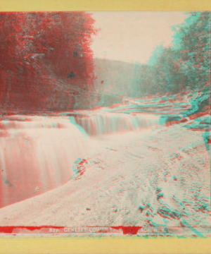 Genesee Lower Falls, Portage, N.Y. [ca. 1870] [1858?-1885?]