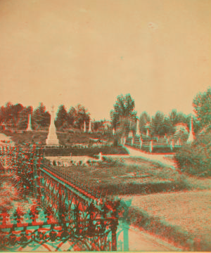 View in Oakland Cemetery, Atlanta. 1870?-1900? [ca. 1880]