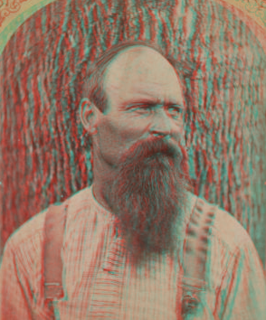 [Portrait of a beared man.] [1860?-1880?]