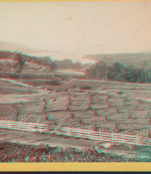 View of Lake George from the south. [1860?-1895?]