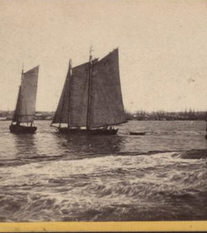 View from foot of Whitehall street, looking towards south Brooklyn. The agitation of water in the foreground is occasioned ny a steamboat just passed. 1859?-1875? [ca. 1860]