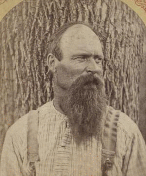 [Portrait of a beared man.] [1860?-1880?]