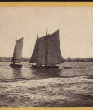 View from foot of Whitehall street, looking towards south Brooklyn. The agitation of water in the foreground is occasioned ny a steamboat just passed. 1859?-1875? [ca. 1860]