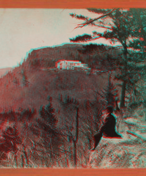 Catskill Mountain House, from North Mountain. [1863?-1880?]