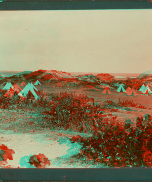 Bell Plaine, Barbados. [ca. 1865]