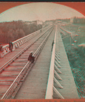 Looking across top of R.R. Bridge, Portage, N.Y., toward Depot. [ca. 1870] [1858?-1885?]