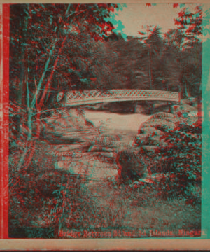 Bridge between 2d and 3d [Sister] Islands, Niagara. [1859?-1885?]