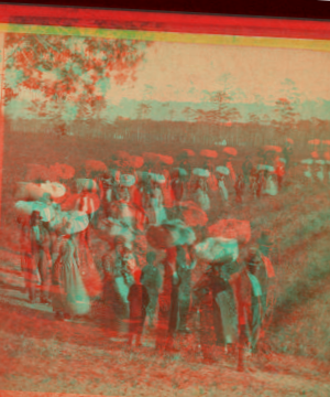 Laborers returning at sunset from picking cotton, on Alex. Knox's plantation, Mount Pleasant, near Charleston, S.C. 1861?-1880?