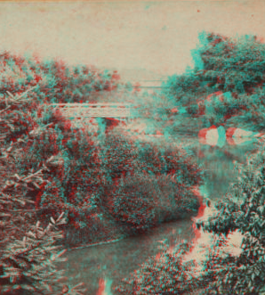 Rustic Bridge near the 8th Avenue. 1863, 1865