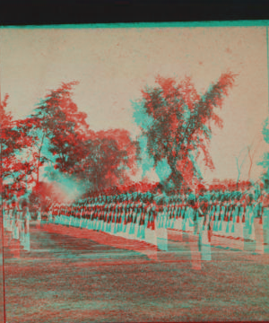 [View of soldiers standing in rows.] 1870?-1880?