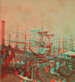 Rush of cotton, Union Wharf. 1860?-1903? [187-]