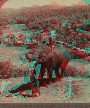 Valleys and hills of Ceylon, with tame elephant