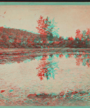 Bloody Pond, Lake George, N.Y. [1860?-1895?]