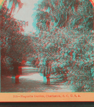 Magnolia Garden, Charleston, S.C., U.S.A. 1870?-1895