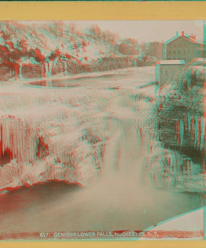 Genesee Lower Falls, Rochester, N.Y. [1860?-1900?]