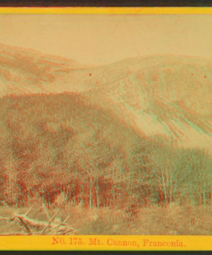 Mt. Cannon, Franconia. 1865?-1890?