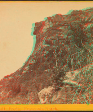 Profile, Franconia Notch. 1865?-1890?