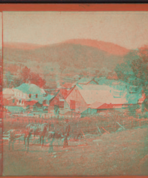 Looking west from the hill east of S. Husley's Hotel. [187-] 1860?-1885?