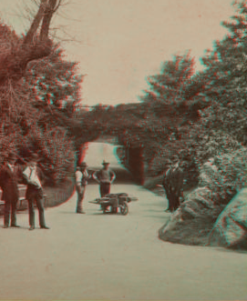 Bridge No. 4 and Lake. [1860?-1900?]