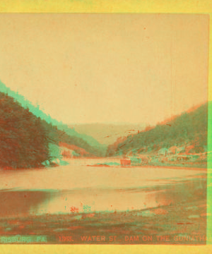 Water St., dam on the Guniatha, Harrisburg, Pa. 1870?-1880?