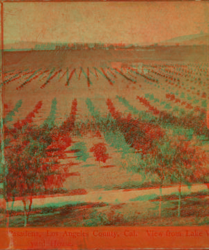 Pasadena, Los Angeles County, Cal. View from Lake Vineyard House. 1870?-1906 ca. 1880