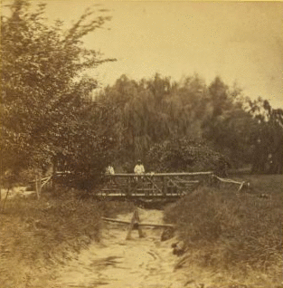 [Children standing on a log bridge over a ditch.] 1862-1865