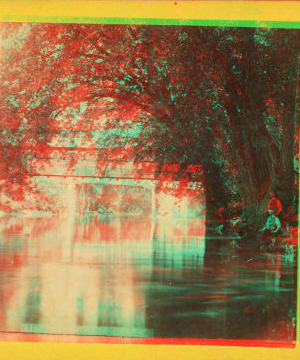 Catawissa Creek. [Along the banks, under a bridge.] 1865?-1880?