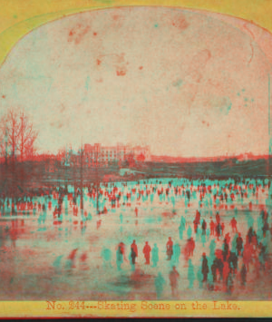 Skating scene on the lake. [1860?]-1896