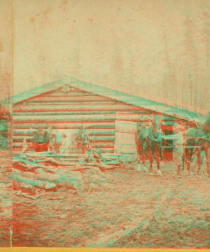 At P. Glynn & Co's Camp, Midland, County, Michigan. [ca. 1870]