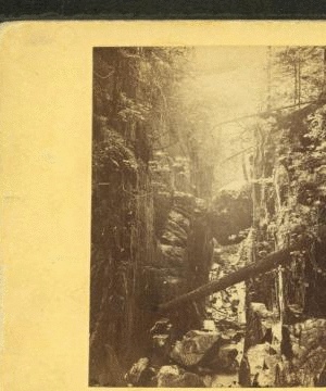 The Flume, from above. 1858?-1875?