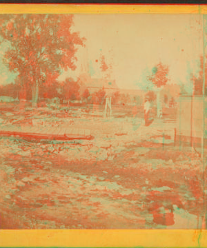 View of a log raft in the foreground with a building far behind, Dubuque, Iowa. 1865?-1875?