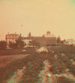 [View of a farm in Clinton with plants in foreground, a home, and barns.] 1865?-1885?