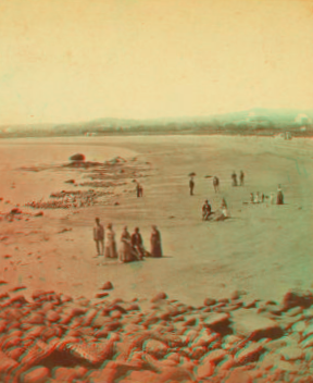 [Group of people on the shore.] 1858?-1890?