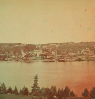 [Harbor view.] 1869?-1882?