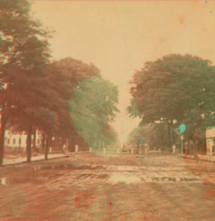 Bull Street, Savannah, Ga. [and Johnson Square] 1867?-1900?