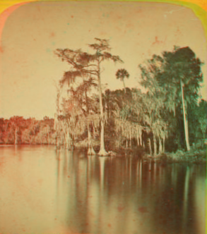 View from Wharf, Enterprise, Florida. [ca. 1875] 1870?-1890?