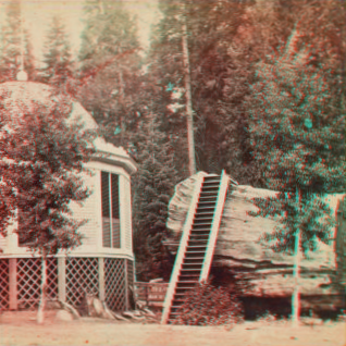 House over the stump of the original Big Tree, diameter 39 feet, Mammoth Grove, Calavaras County. 1864?-1874?