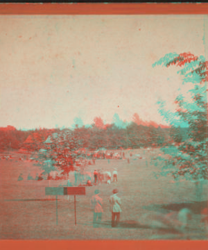 Ball Ground, Central Park. [ca. 1865] [1860?]-1895