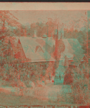 The Dairy Cottage, Prospect Park, Brooklyn, N.Y. [1870?-1890?]