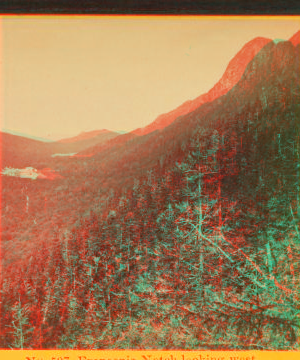 Franconia Notch, looking west. 1865?-1890?