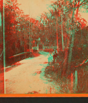 [Road to Bonaventure Cemetery.] ca. 1870 1866?-1905?